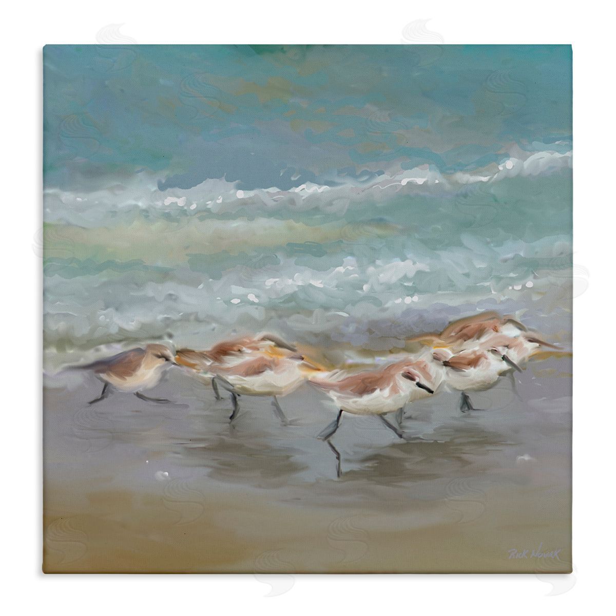 Rick Novak Nautical Sea Birds Shoreline Waves Stretched Canvas Wall Art Print