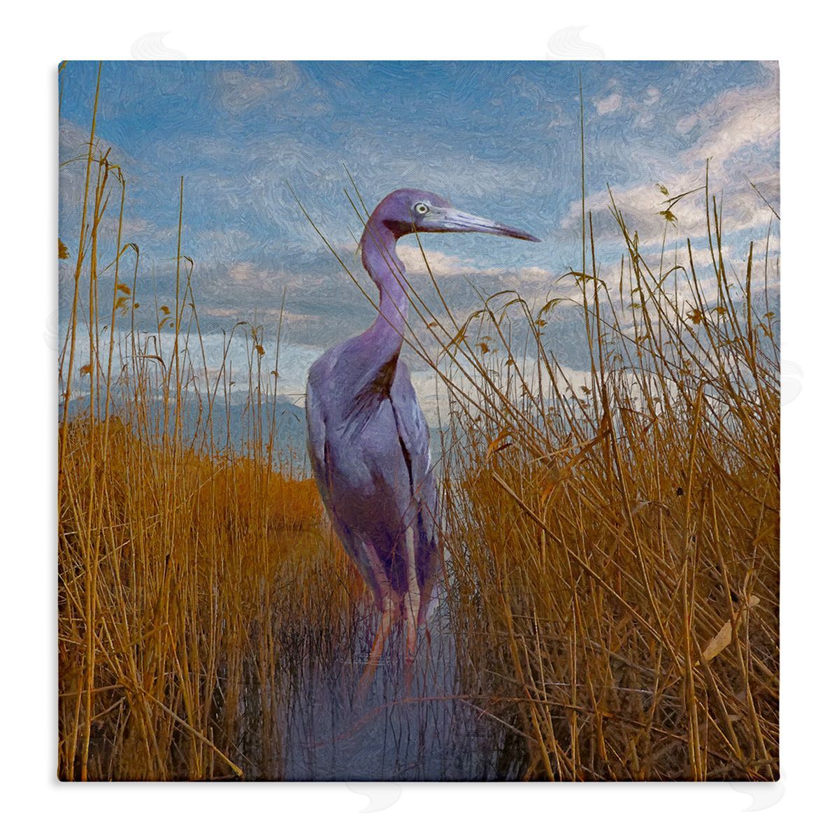 Steve Hunziker Egret Beach Reeds Coastal Grasses Stretched Canvas Wall Art Print