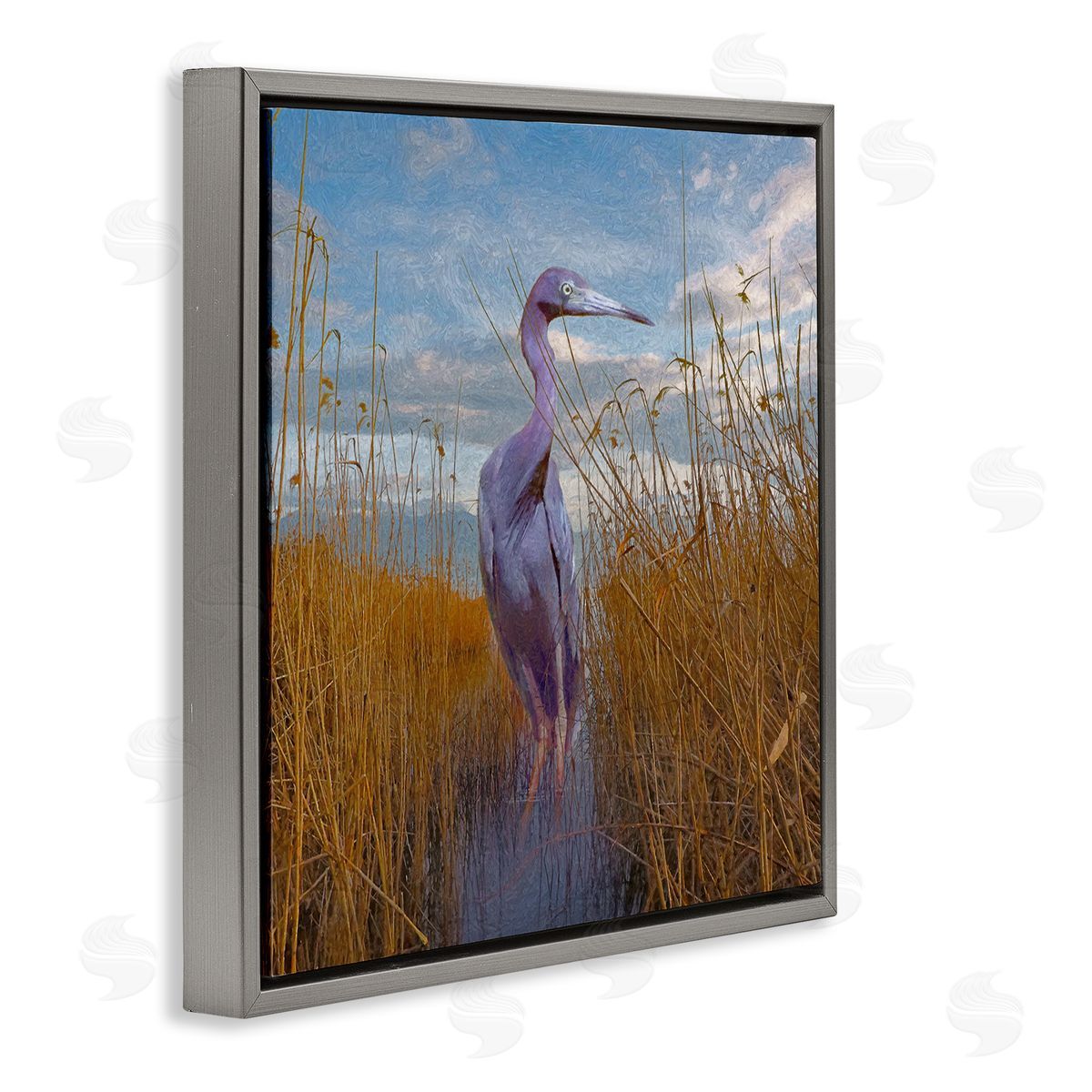 Steve Hunziker Egret Beach Reeds Coastal Grasses Gray Floating Frame Canvas Wall Art Print