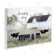 Lori Deiter | Laundry Day with Rural Cows