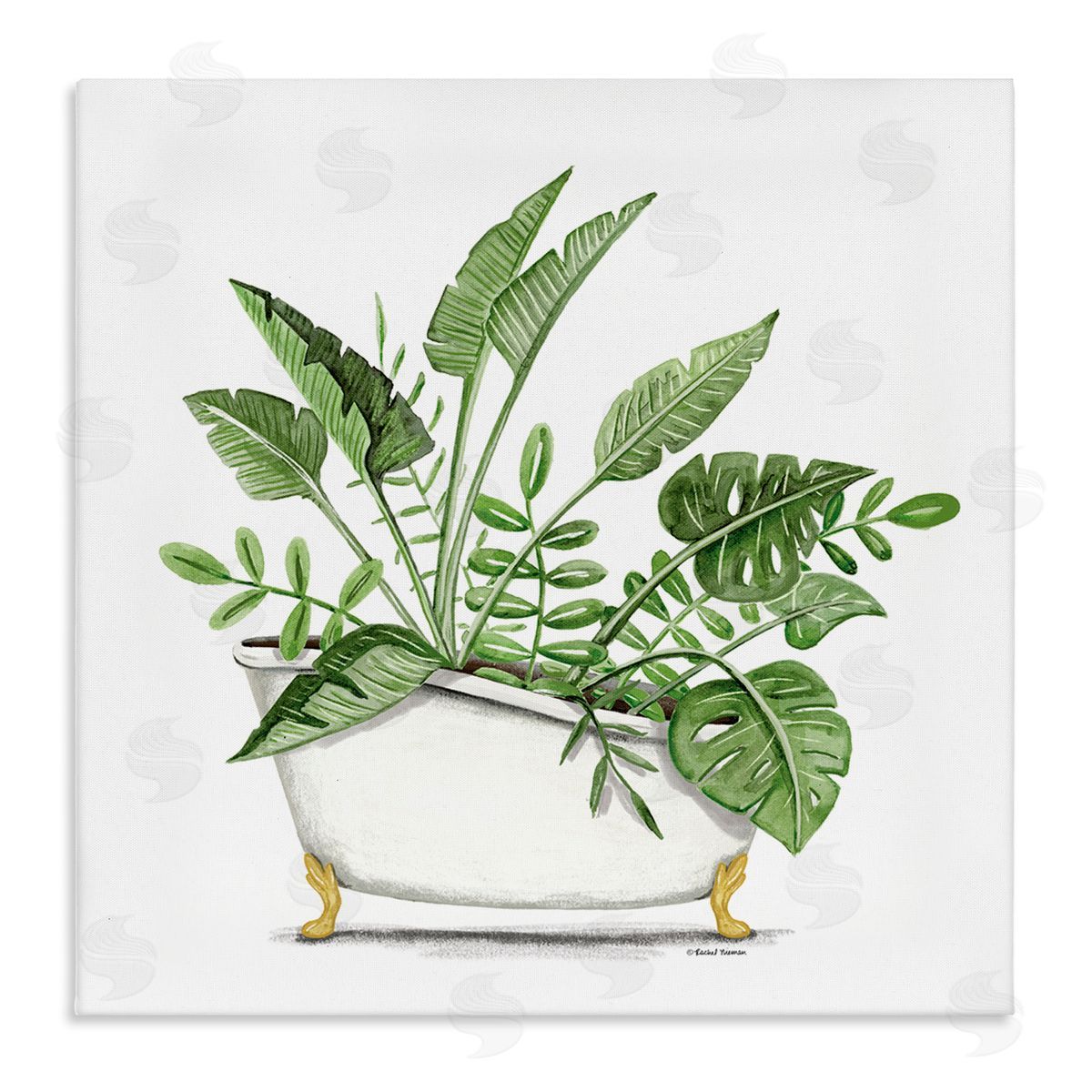 Rachel Nieman Tropical Monstera Plants Vintage Tub Stretched Canvas Wall Art Print