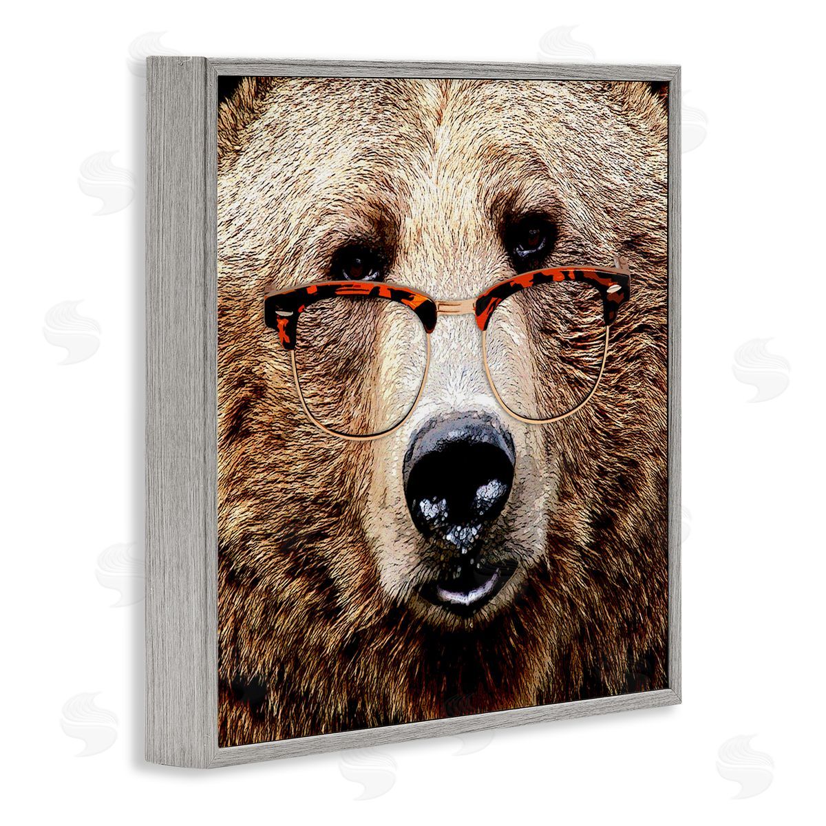 Grizzly Bear with Glasses Grey Frame Print Wall Art, Home Decor by Karen Smith
