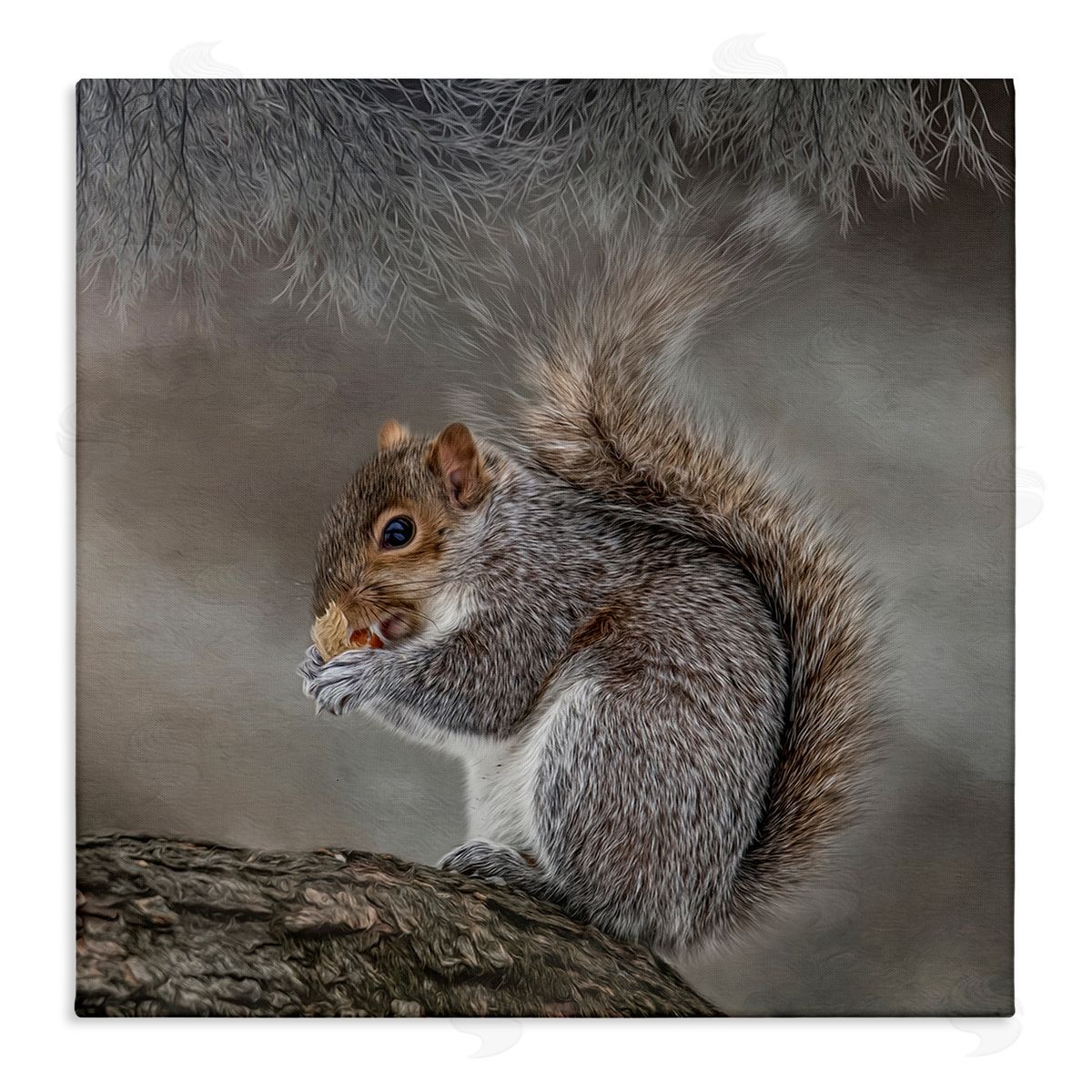 Kelley Parker Woodland Wildlife Squirrel Photography Stretched Canvas Wall Art Print