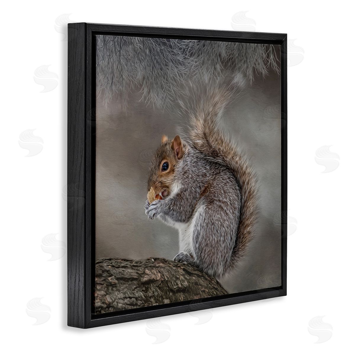 Kelley Parker Woodland Wildlife Squirrel Photography Black Floating Frame Canvas Wall Art Print