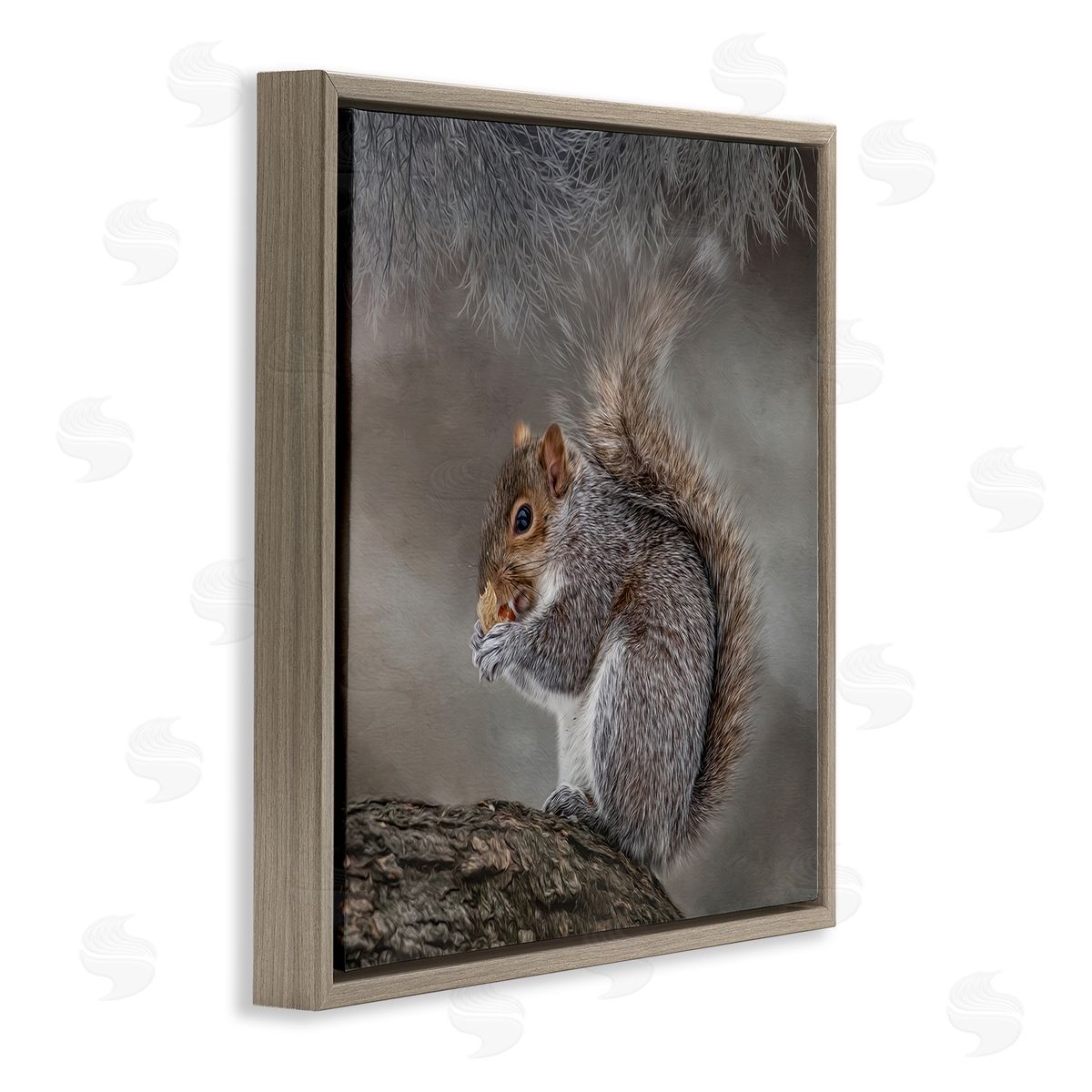 Kelley Parker Woodland Wildlife Squirrel Photography Brown Floating Frame Canvas Wall Art Print