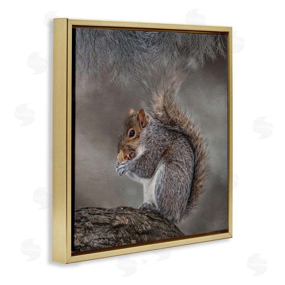 Kelley Parker Woodland Wildlife Squirrel Photography Gold Floating Frame Canvas Wall Art Print