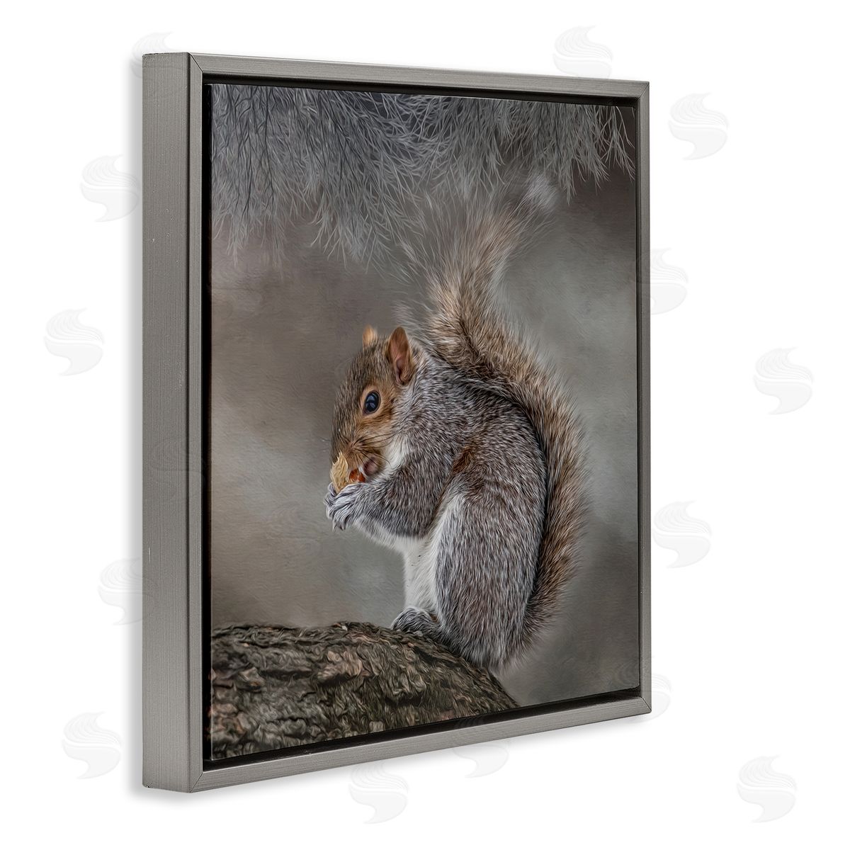 Kelley Parker Woodland Wildlife Squirrel Photography Gray Floating Frame Canvas Wall Art Print