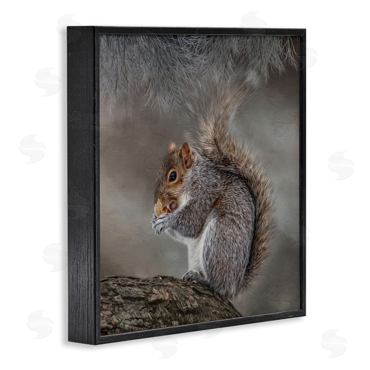 Kelley Parker Woodland Wildlife Squirrel Photography Black Framed Glicee Wall Art Print