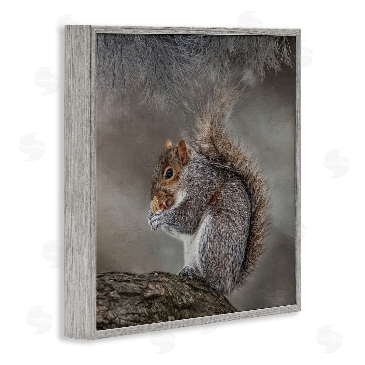 Kelley Parker Woodland Wildlife Squirrel Photography Gray Framed Glicee Wall Art Print