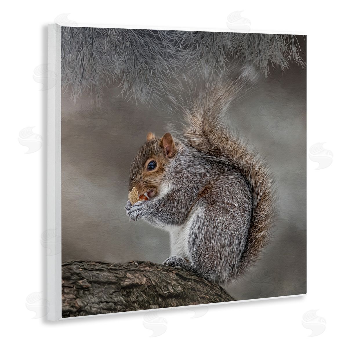 Kelley Parker Woodland Wildlife Squirrel Photography Wooden Wall Plaque Art Print