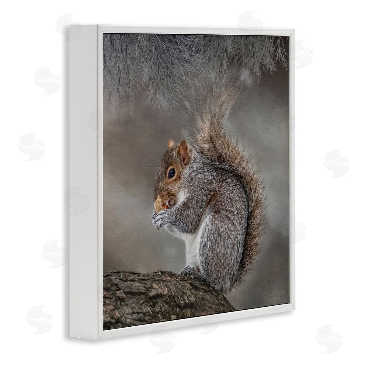 Kelley Parker Woodland Wildlife Squirrel Photography White Framed Glicee Wall Art Print