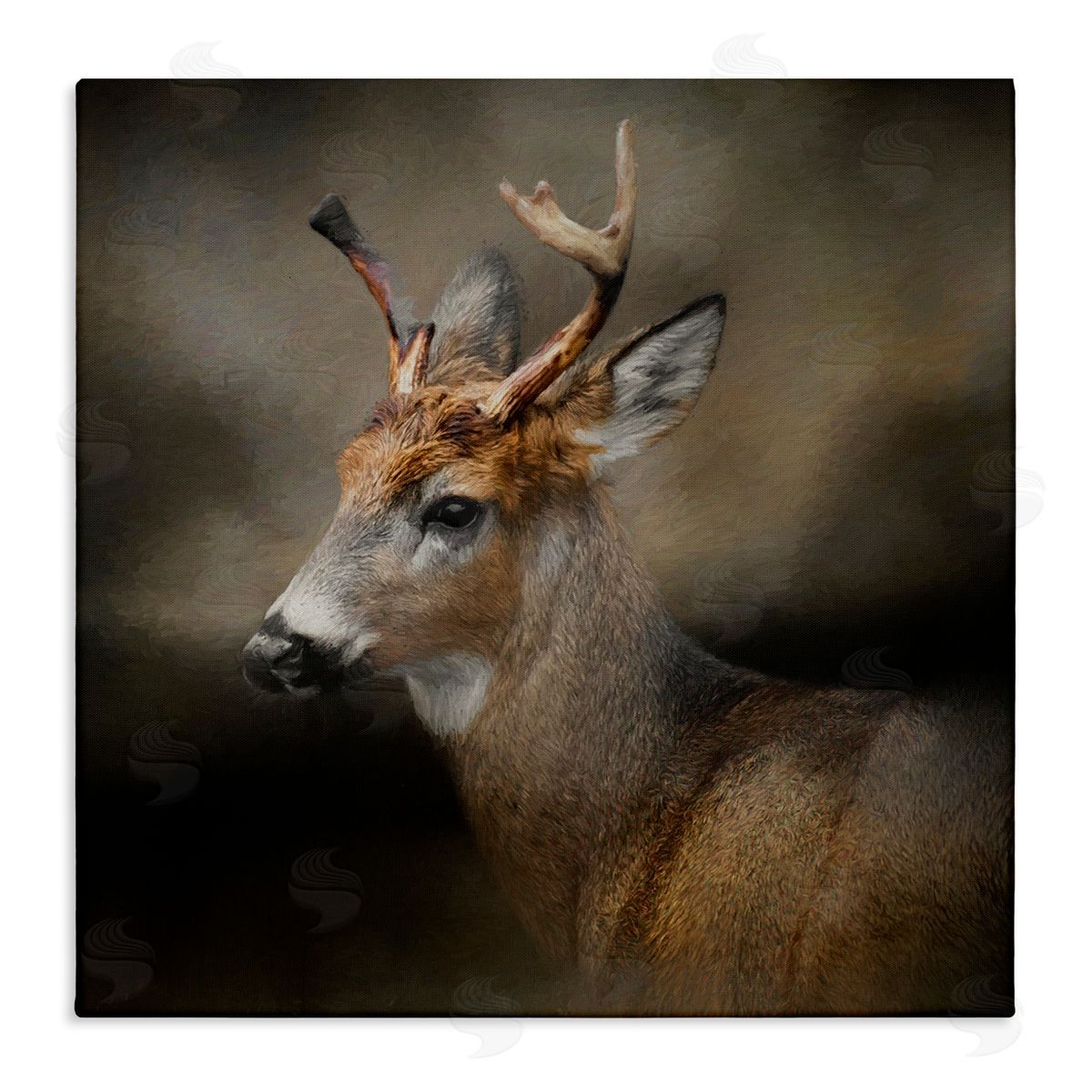 Kelley Parker Woodland Deer Nature Photography Stretched Canvas Wall Art Print