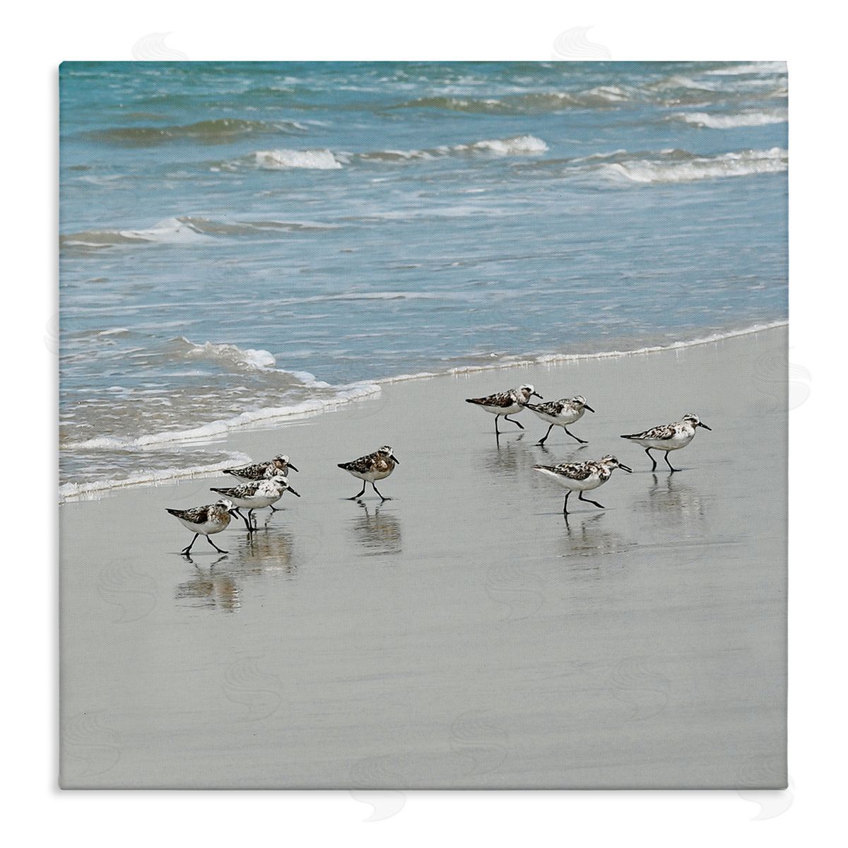 Natalie Carpentieri Sandpipers Flock Sandy Beach Shore Stretched Canvas Wall Art Print
