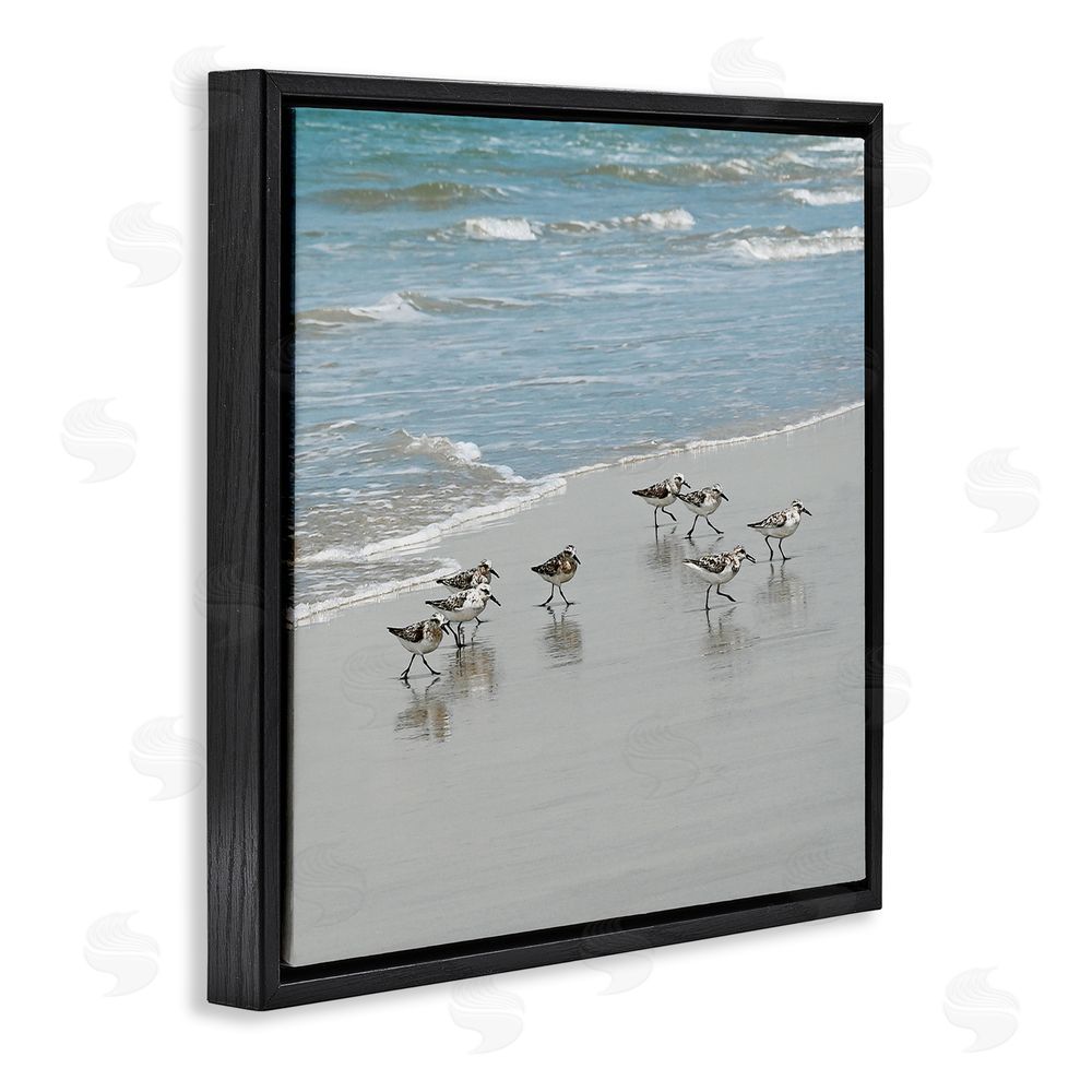 Natalie Carpentieri Sandpipers Flock Sandy Beach Shore Black Floating Frame Canvas Wall Art Print