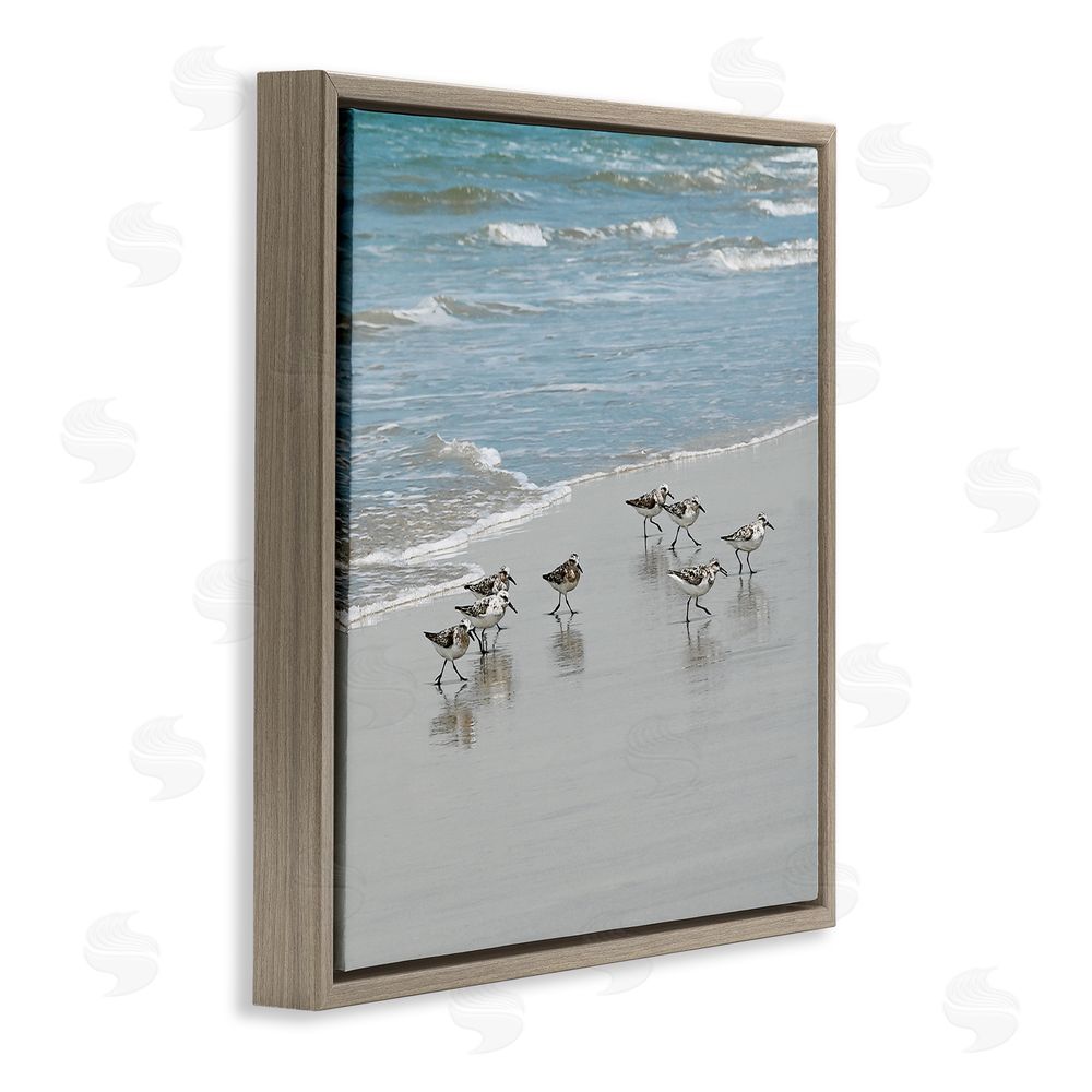 Natalie Carpentieri Sandpipers Flock Sandy Beach Shore Brown Floating Frame Canvas Wall Art Print