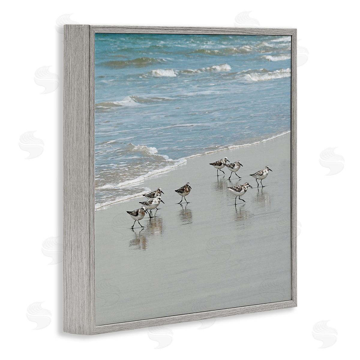 Natalie Carpentieri Sandpipers Flock Sandy Beach Shore Gray Framed Glicee Wall Art Print