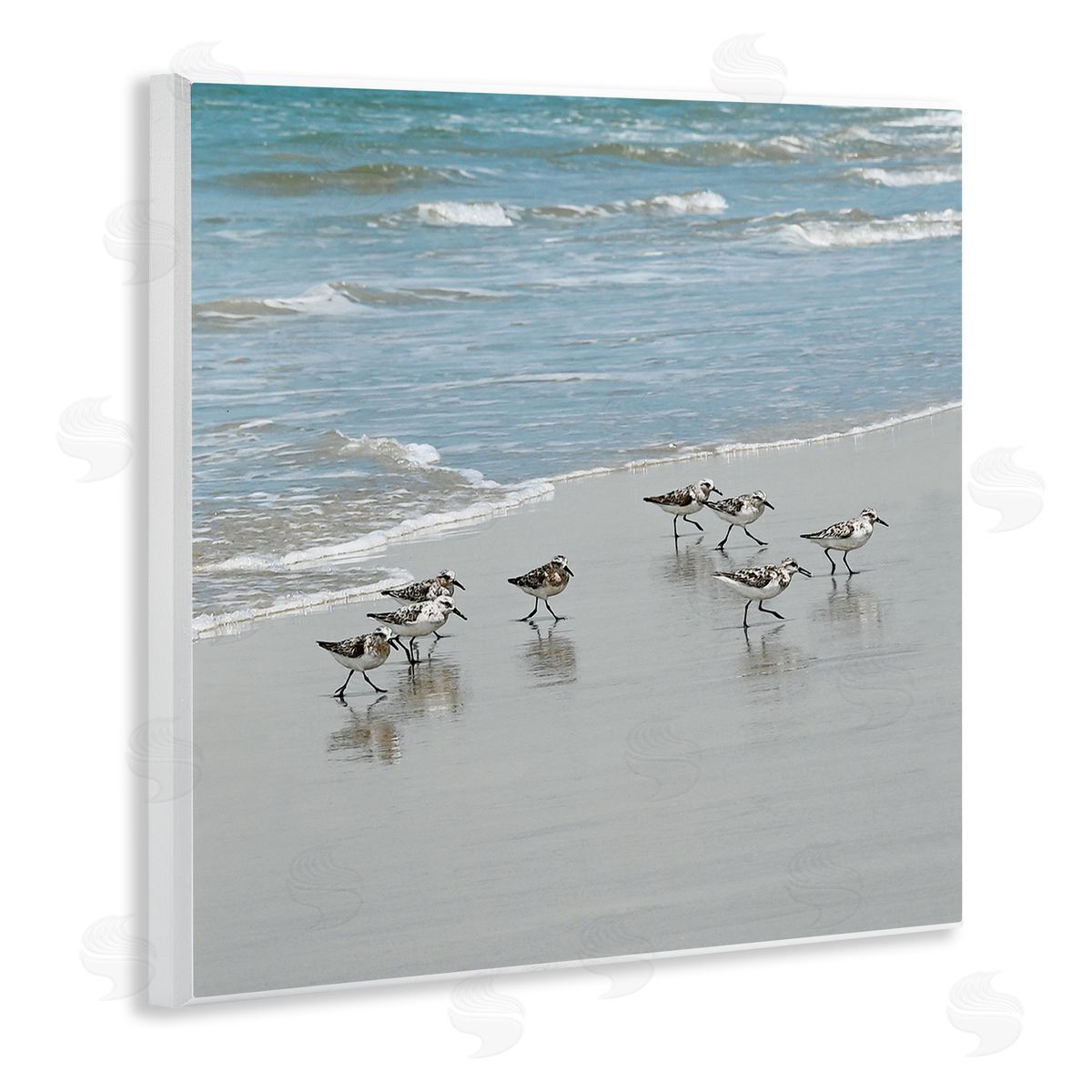 Natalie Carpentieri Sandpipers Flock Sandy Beach Shore Wooden Wall Plaque Art Print