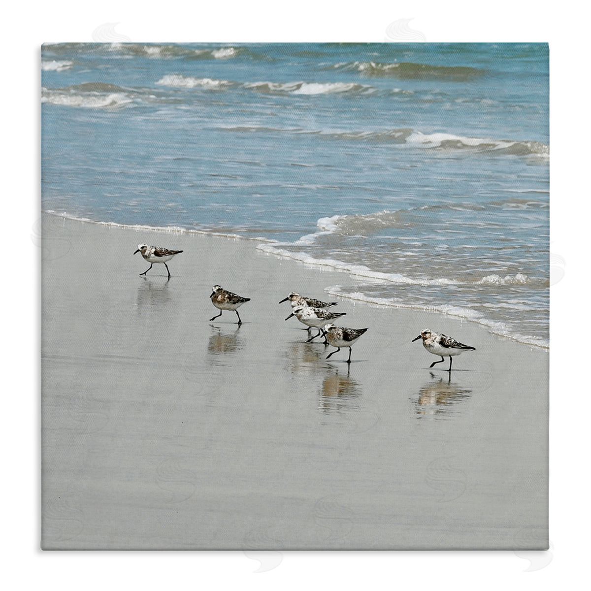 Sandpipers on Shore Reflection Canvas Wall Art, Home Decor by Natalie Carpentieri