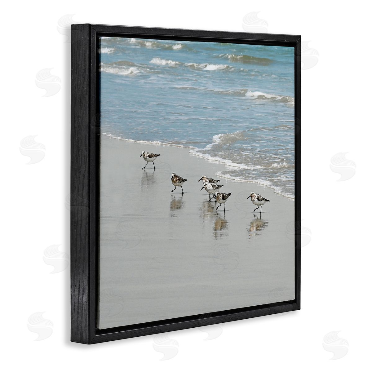 Sandpipers on Shore Reflection Black Floating Frame Canvas Wall Art, Home Decor by Natalie Carpentieri