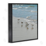 Natalie Carpentieri | Sandpipers on Shore Reflection