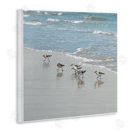 Natalie Carpentieri | Sandpipers on Shore Reflection