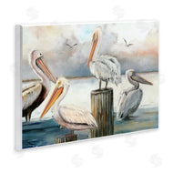 Ziwei Li | Pelicans Perched Cloudy Horizon