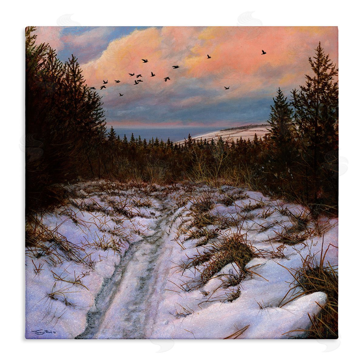 Jeremy Paul Snowy Coastal Nature Trail Stretched Canvas Wall Art Print