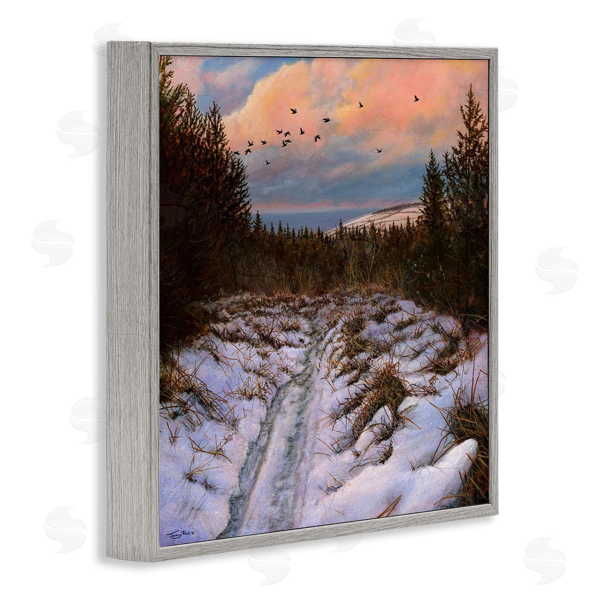 Jeremy Paul Snowy Coastal Nature Trail Gray Framed Glicee Wall Art Print