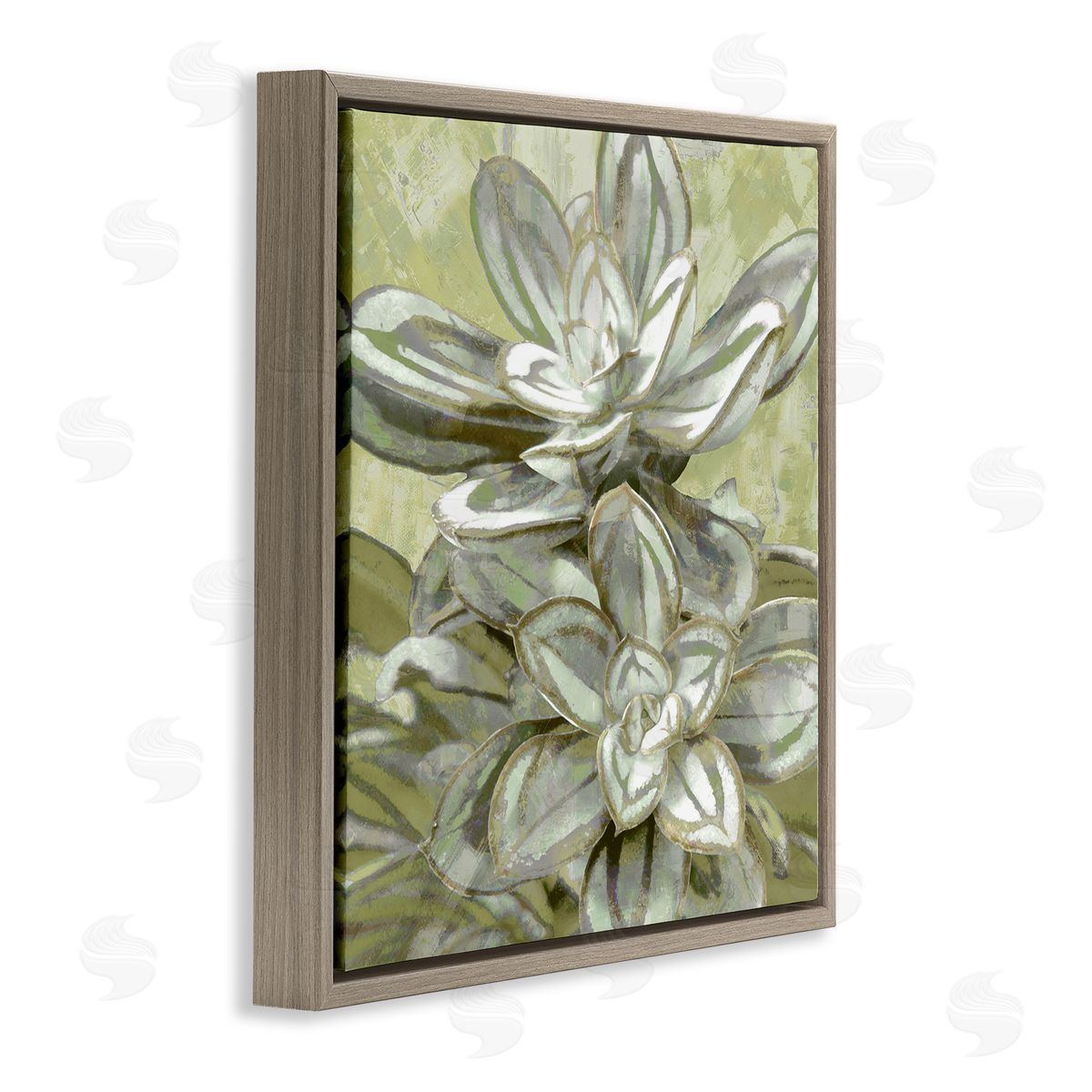 Lindsay Benson Succulent Plant Leaves Blooming Brown Floating Frame Canvas Wall Art Print