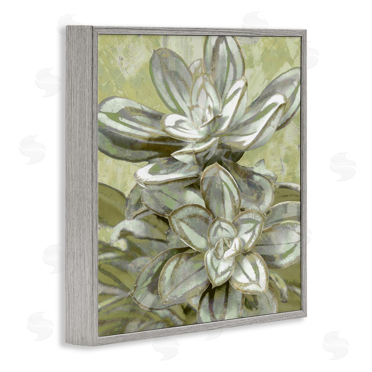Lindsay Benson Succulent Plant Leaves Blooming Gray Framed Glicee Wall Art Print