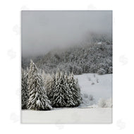 Stupell Studio | Winter Snowscape Woodland Trees
