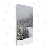 Stupell Studio | Winter Snowscape Woodland Trees