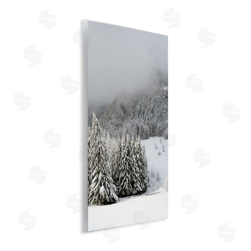 Stupell Studio | Winter Snowscape Woodland Trees
