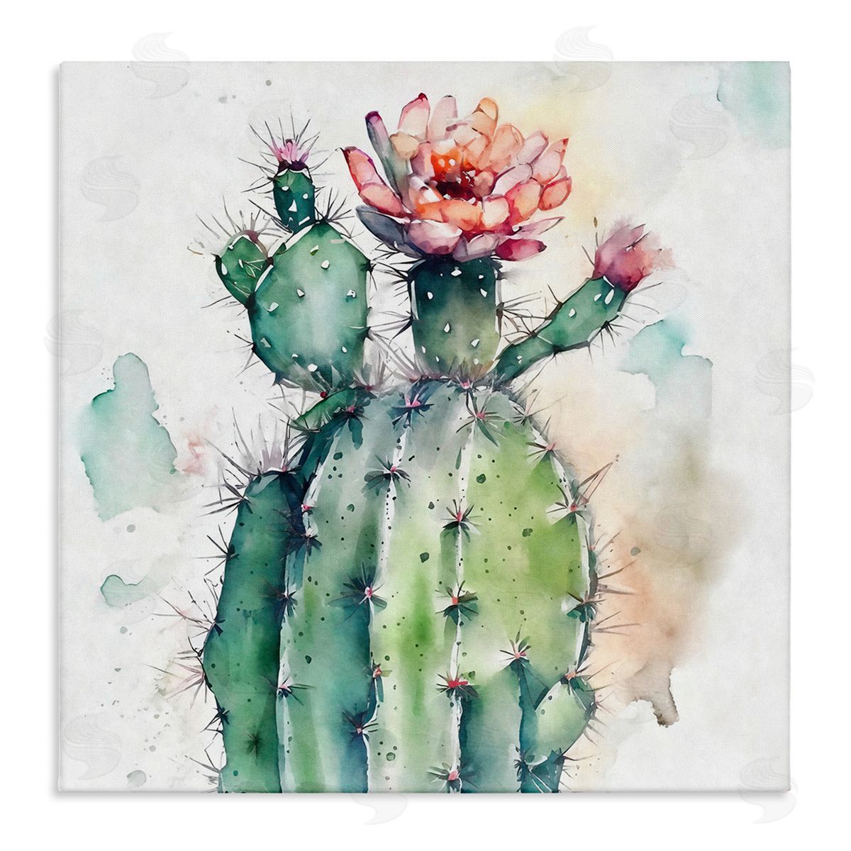 Ziwei Li Watercolor Cactus Desert Nature Stretched Canvas Wall Art Print