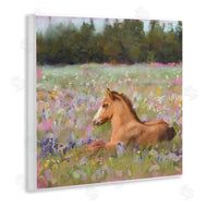 Nina Blue | Foal Horse Lounging Flower Meadow