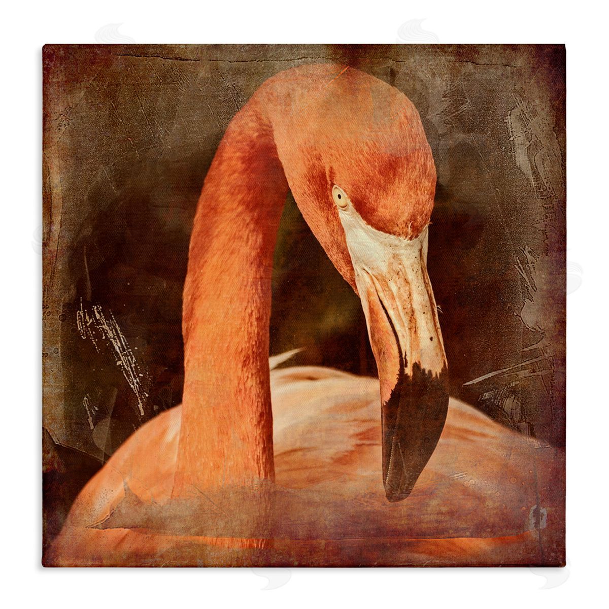 Graffitee Studios Vintage Flamingo Animal Portrait Stretched Canvas Wall Art Print