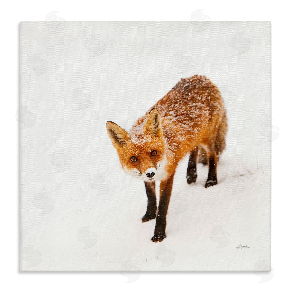 Aledanda Fox Stepping Snowy Landscape Stretched Canvas Wall Art Print