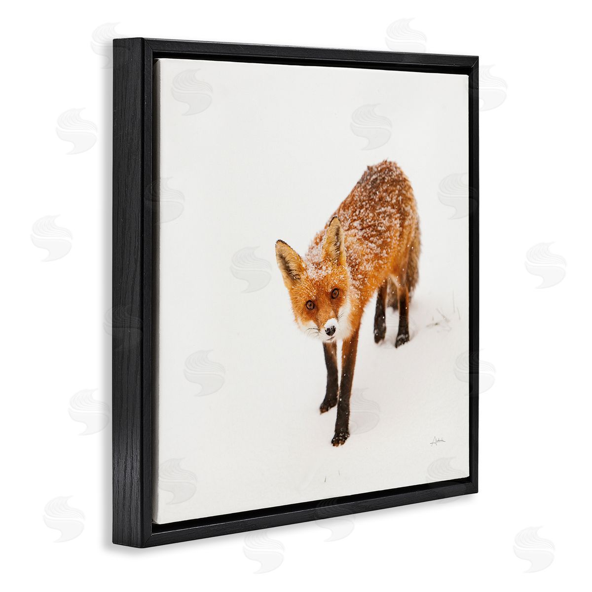 Aledanda Fox Stepping Snowy Landscape Black Floating Frame Canvas Wall Art Print