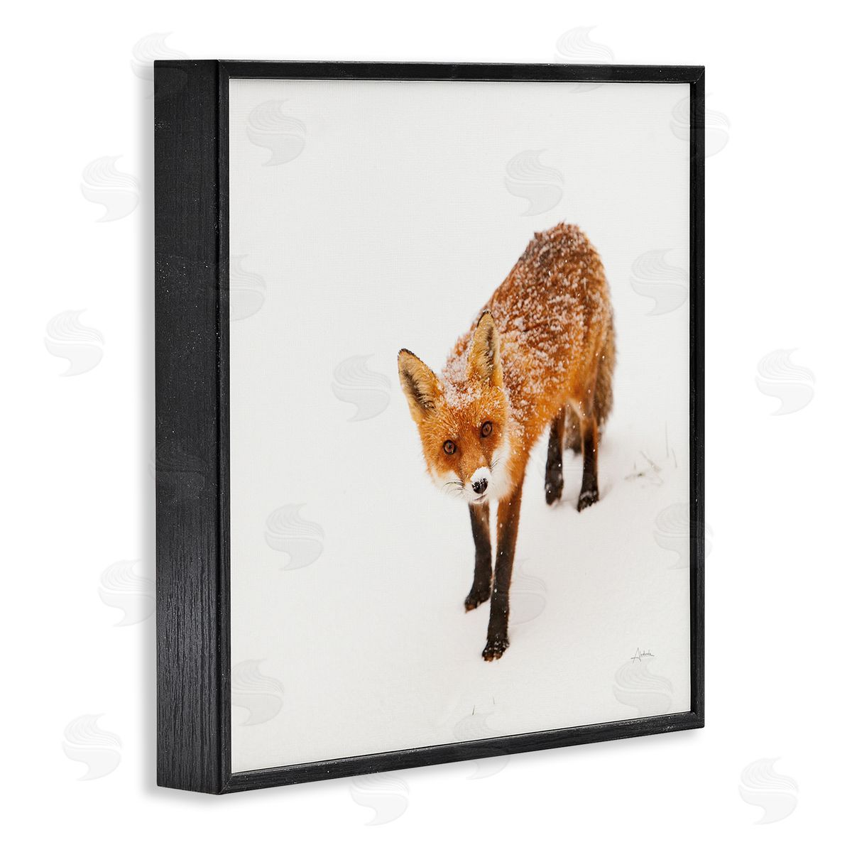 Aledanda Fox Stepping Snowy Landscape Black Framed Glicee Wall Art Print