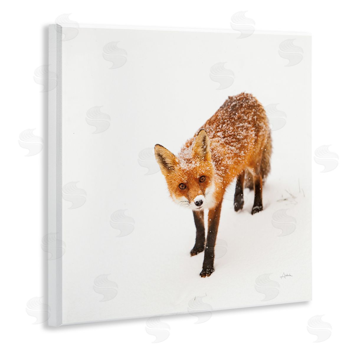 Aledanda Fox Stepping Snowy Landscape Wooden Wall Plaque Art Print