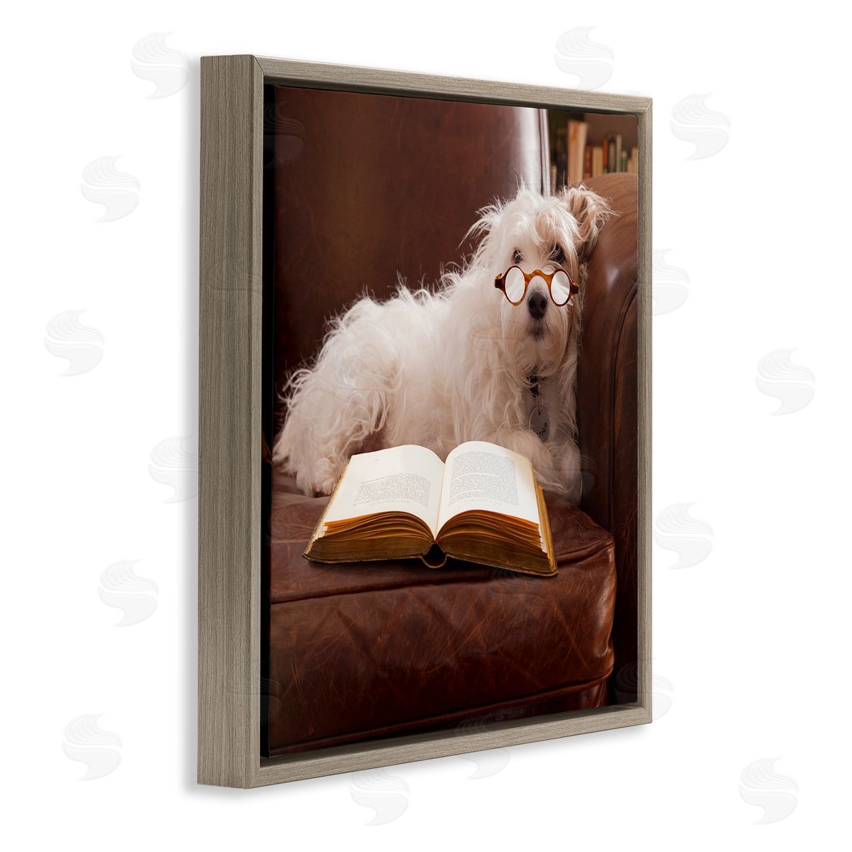 Michael Quackenbush White Dog Reading Book Brown Floating Frame Canvas Wall Art Print