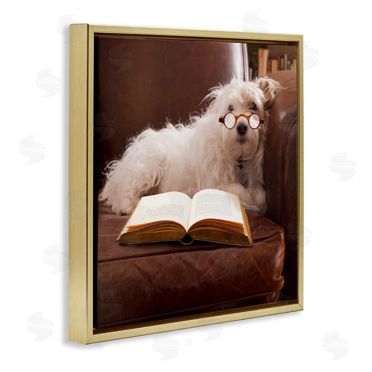Michael Quackenbush White Dog Reading Book Gold Floating Frame Canvas Wall Art Print