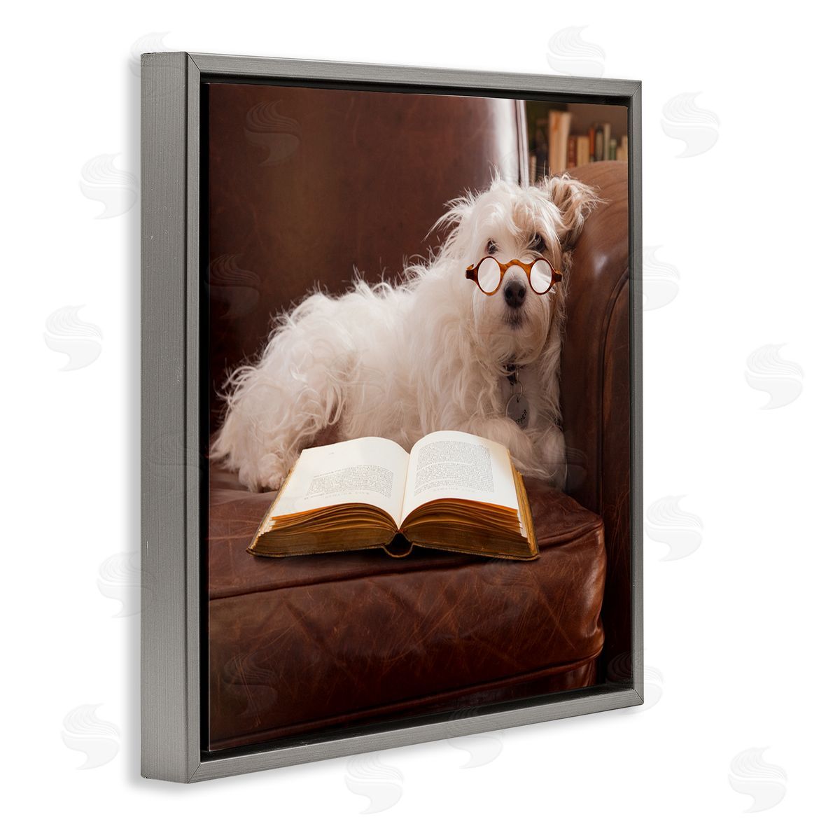 Michael Quackenbush White Dog Reading Book Gray Floating Frame Canvas Wall Art Print