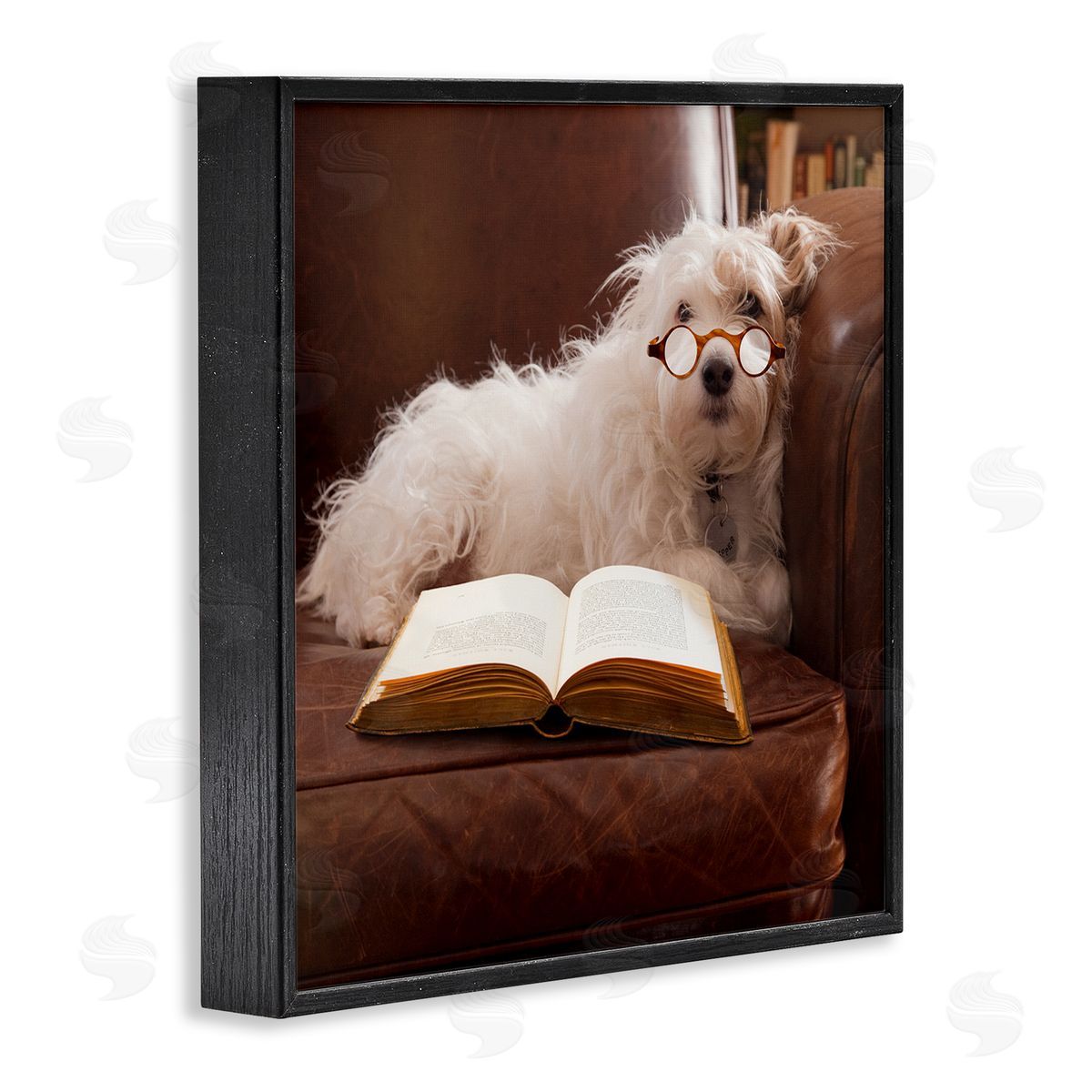 Michael Quackenbush White Dog Reading Book Black Framed Glicee Wall Art Print