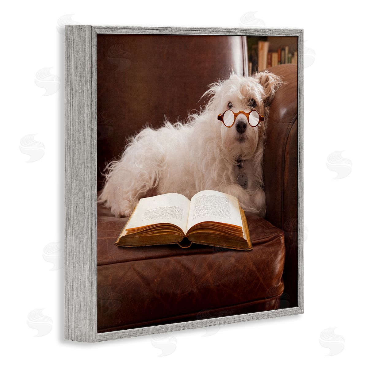 Michael Quackenbush White Dog Reading Book Gray Framed Glicee Wall Art Print