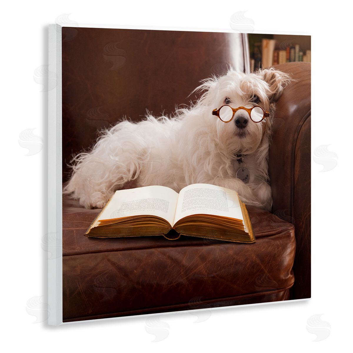Michael Quackenbush White Dog Reading Book Wooden Wall Plaque Art Print
