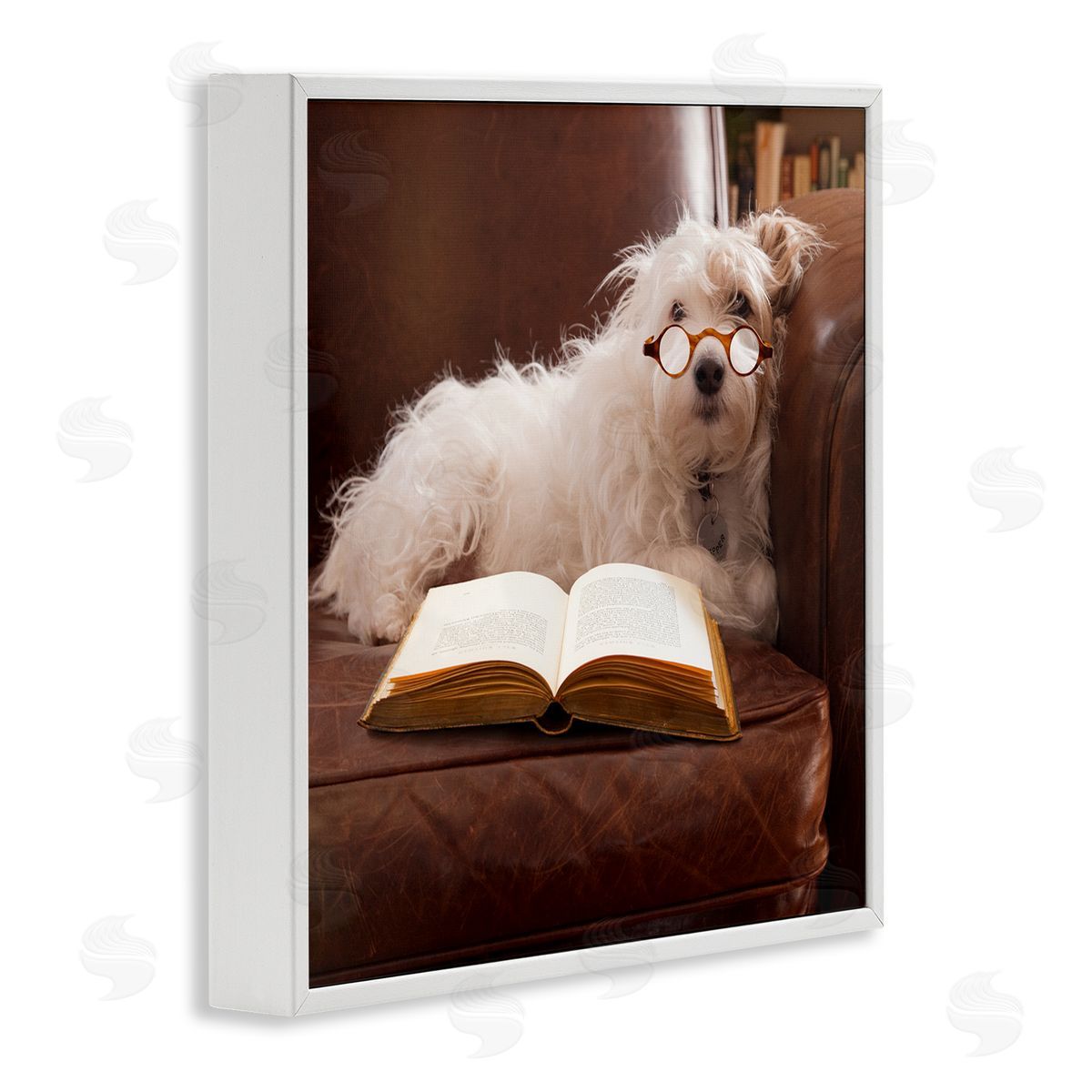 Michael Quackenbush White Dog Reading Book White Framed Glicee Wall Art Print
