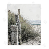 Incado | Coastal Beach Landscape
