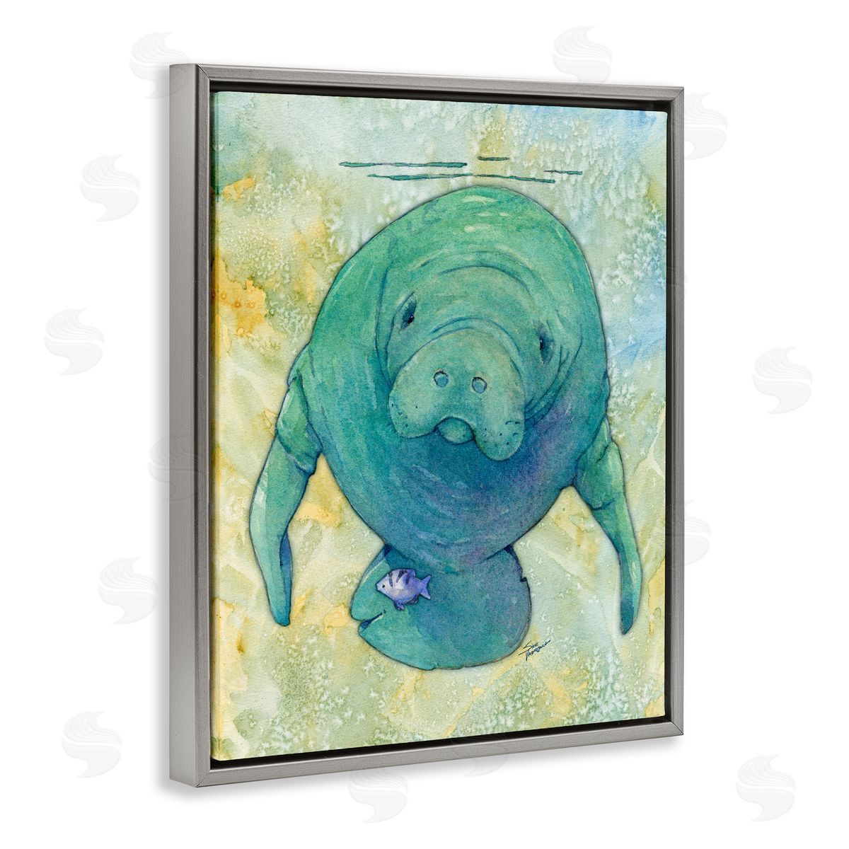 Green Manatee Underwater Grey Floating Frame Canvas Wall Art, Home Decor by Steve Vanderbosch
