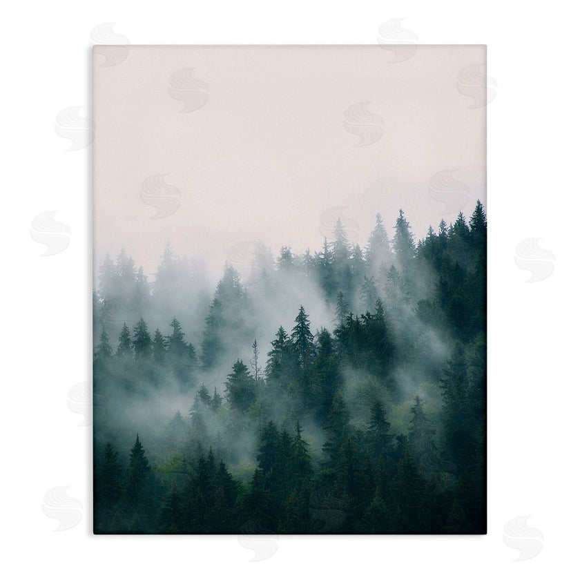 Sisi and Seb | Misty Forest Trees